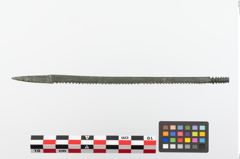 Foto von Bronzeraspel (NHMW-PRAE-023825)